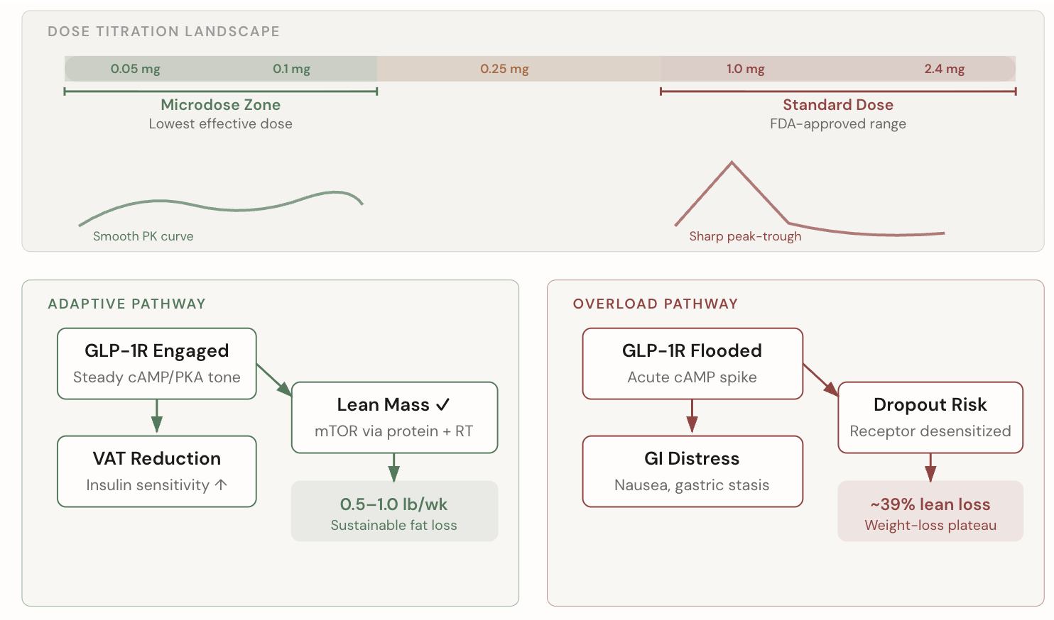 Knowledge Assistant: GLP-1 dose titration landscape